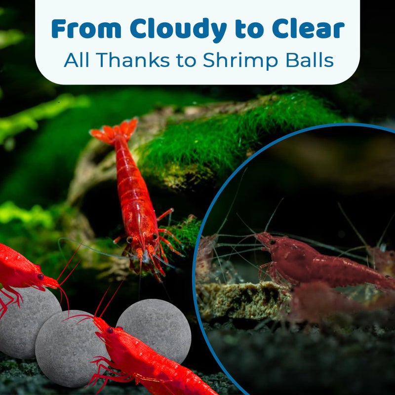 SunGrow Shrimp Balls, Aquarium Water Conditioner Balls, Successful Shedding, Increase Survival Rate, Impart Vibrance, Cool DÃ©cor with Wellness Benefits - Image 5