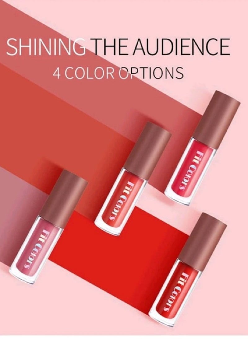 Fit Colors Fit Colors 4pcs Lip Gloss Multicolour from shein - Image 3