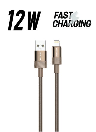 Desert Spark Cable USB-A to Lightning 1M 12W / Charge & Sync / Secure & Safe / Wide Compatible / 480Mbps Data Transfer / Quick Charge - Desert Titanium - pzsku/Z1BDD6A77A5F3408FC361Z/45/_/1738234030/8b948d00-e01d-417c-b393-9ade4b1b9b90