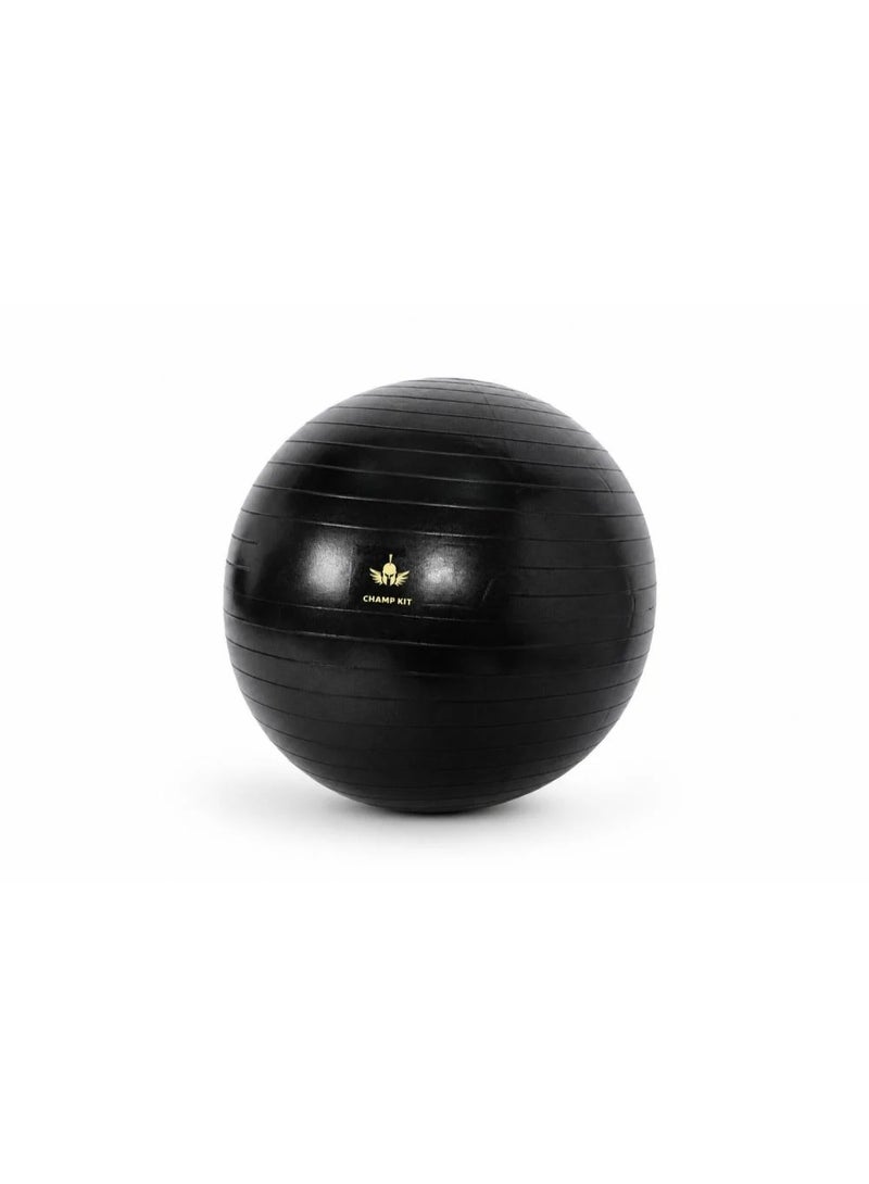 65 cm exercise ball