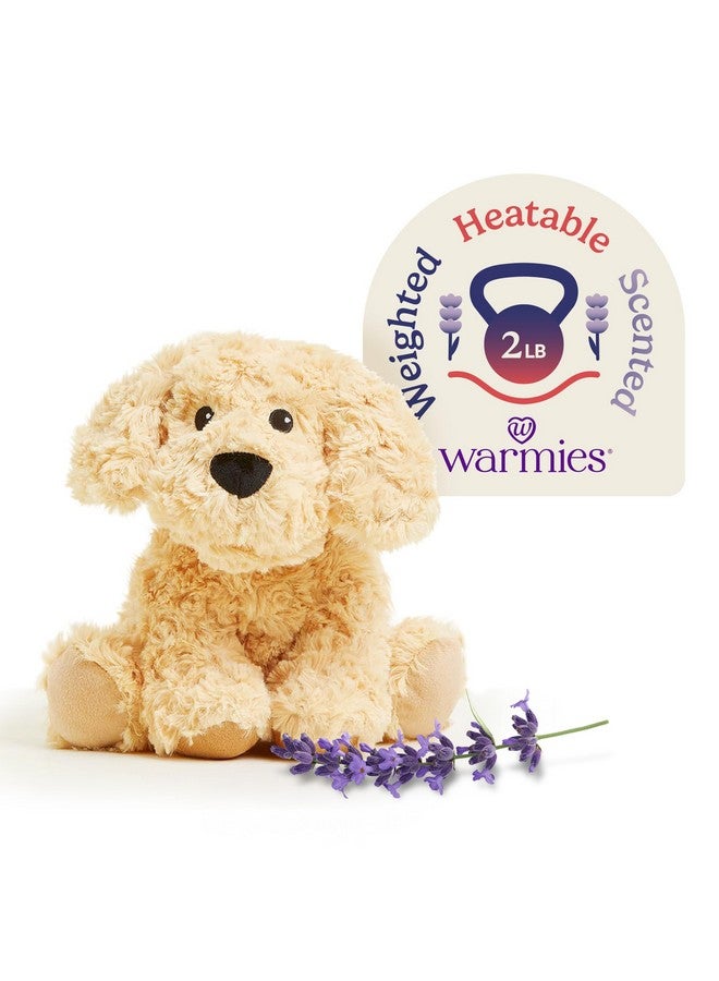 Warmies دمى دافئة قابلة للتسخين بالميكروويف ووزنها، كلب ذهبي - دمية محشوة مدفأة للدفء والراحة - ألعاب محشوة ناعمة لطيفة للأولاد والبنات والرضع والأطفال الصغار - Image 1