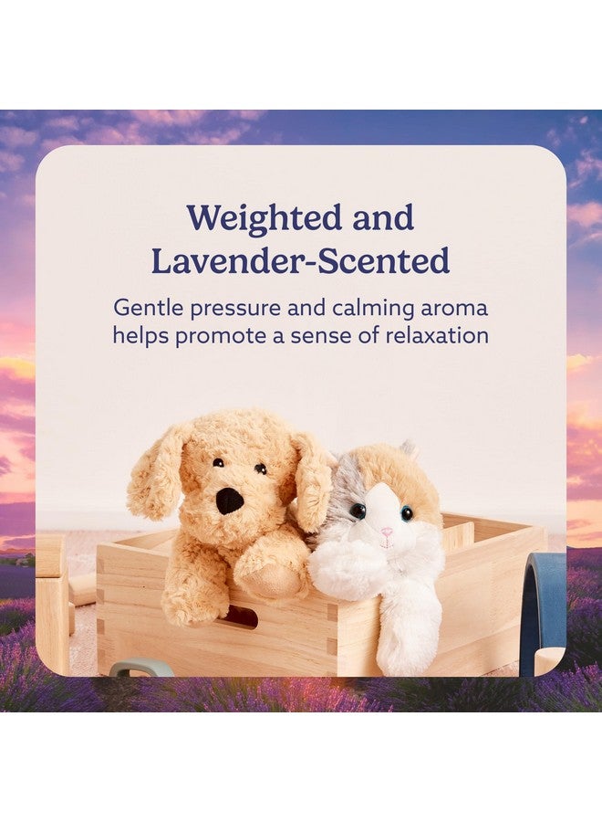 Warmies دمى دافئة قابلة للتسخين بالميكروويف ووزنها، كلب ذهبي - دمية محشوة مدفأة للدفء والراحة - ألعاب محشوة ناعمة لطيفة للأولاد والبنات والرضع والأطفال الصغار - Image 3