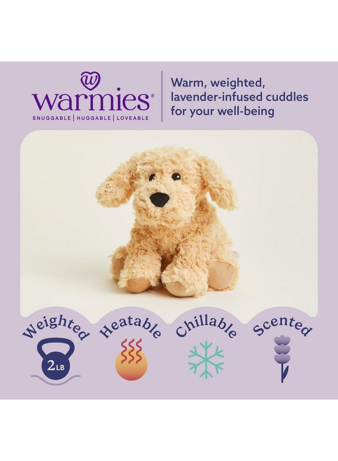 Warmies دمى دافئة قابلة للتسخين بالميكروويف ووزنها، كلب ذهبي - دمية محشوة مدفأة للدفء والراحة - ألعاب محشوة ناعمة لطيفة للأولاد والبنات والرضع والأطفال الصغار - Image 2