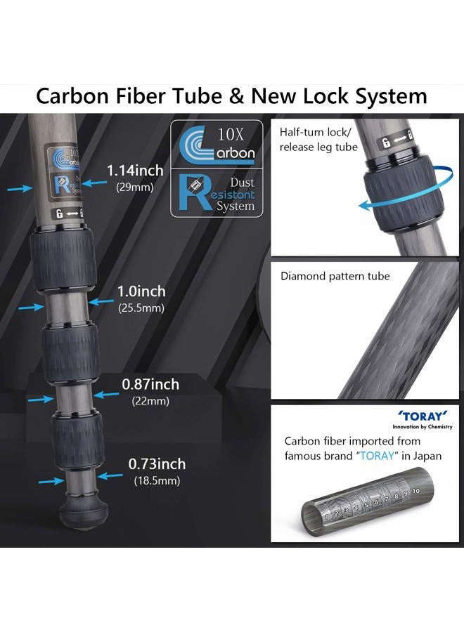 ARTCISE 69.7" Carbon Fiber Camera Tripod with Low Profile Ball Head ARTCISE Professional Lightweight Compact Tripod with Two 1/4 inch Quick Shoe Plate for DSLR Camera,Video Camcorder, Max Load 39lbs/18kg - Image 3