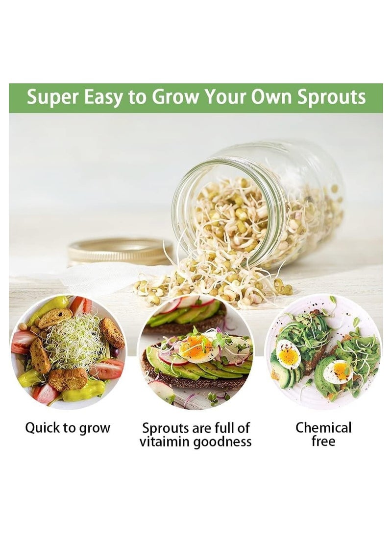 كاست ويف برطمان فسيح بفم عريض مع غطاء شبكي فولاذي وحوامل، برطمانات إنبات سعة 16 أوقية، للبرغل والفاصوليا والميكروجرين (عبوة من 2) - Image 4