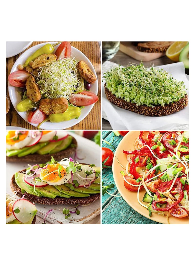 كاست ويف برطمان فسيح بفم عريض مع غطاء شبكي فولاذي وحوامل، برطمانات إنبات سعة 16 أوقية، للبرغل والفاصوليا والميكروجرين (عبوة من 2) - Image 3