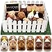 Rigibright 56Pcs Adopt A Puppy Party Favors Mini Plush Stuffed Animals Set Includes 14 Mini Dogs Birthday Hats White Plastic Fence with Artificial Lawn for Adopt A Pet Theme Birthday Party - Image 3