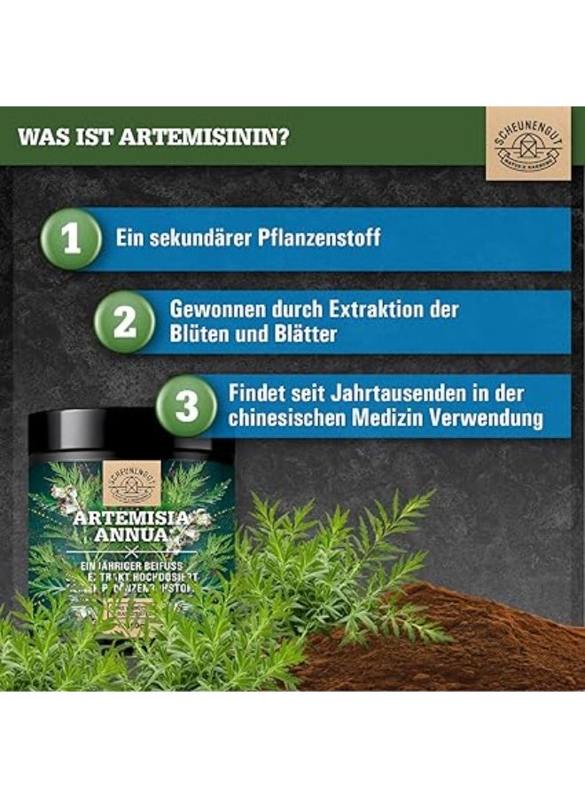Scheunengut Artemisia Annua Extract Powder 100 g ,Immune system support - Image 3