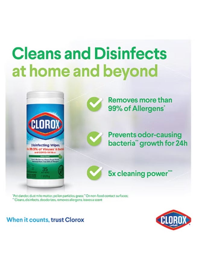 Clorox Disinfecting Wipes Fresh Scent 35 Wet Wipes 219g - Image 3