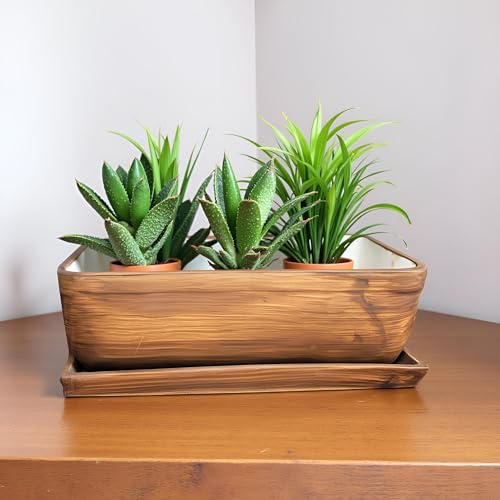 Lasaki Rectangle Shaped Antique with Tray Rec003 Ceramic Planter | Mini Flower Plant Container/gamla for Indoor, Outdoor, Garden Decoration, Balcony & Office - Image 1