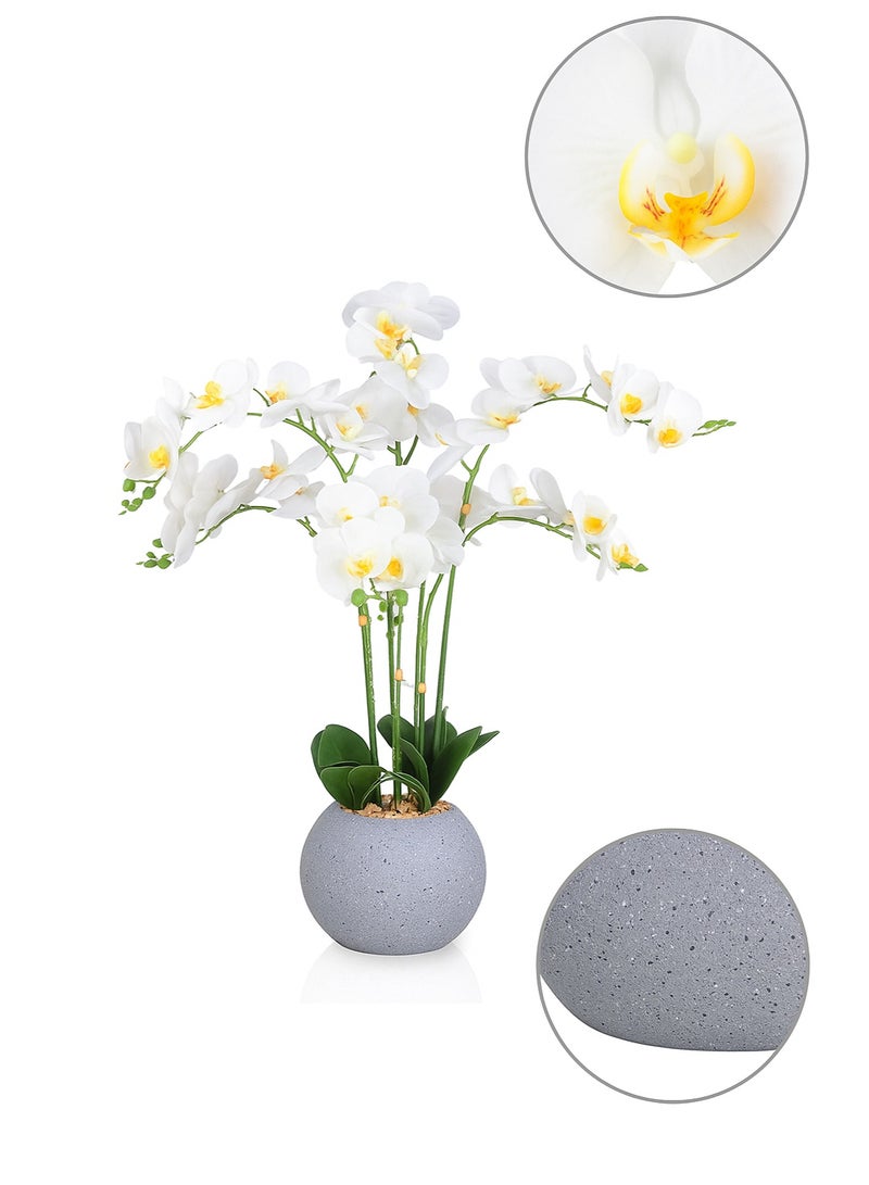 تالا زهرة أوركيد صناعية بستة فروع في أصيص أنيق – ارتفاع 75 سم، لمسة فاخرة لديكور المنزل والمكتب - Image 2