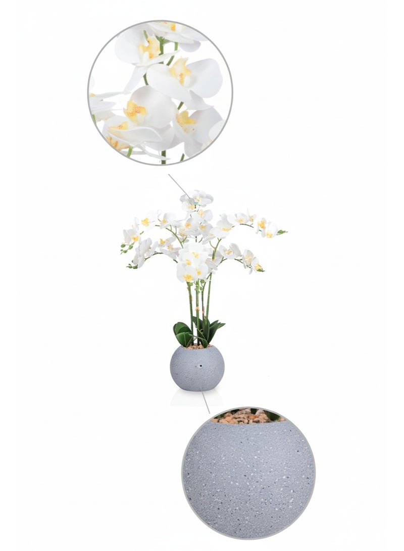 تالا زهرة أوركيد صناعية بستة فروع في أصيص أنيق – ارتفاع 75 سم، لمسة فاخرة لديكور المنزل والمكتب - Image 5