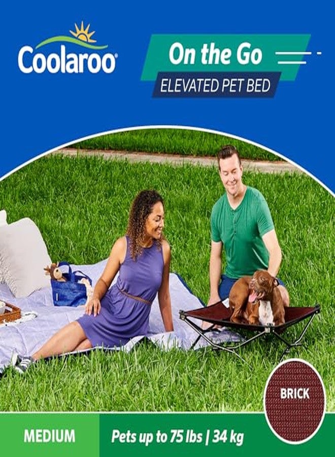 Coolaroo On-The-Go Elevated Dog Bed - Foldable Pop-Up Travel Dog Bed with Breathable, Moisture-Resistant Fabric, Carry Bag Included, Lightweight & Portable, Brick, Medium - Image 5