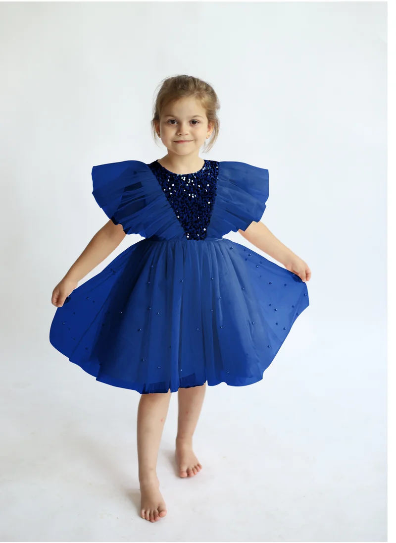 D'Daniela Butterfly Sequined Navy Blue Dress