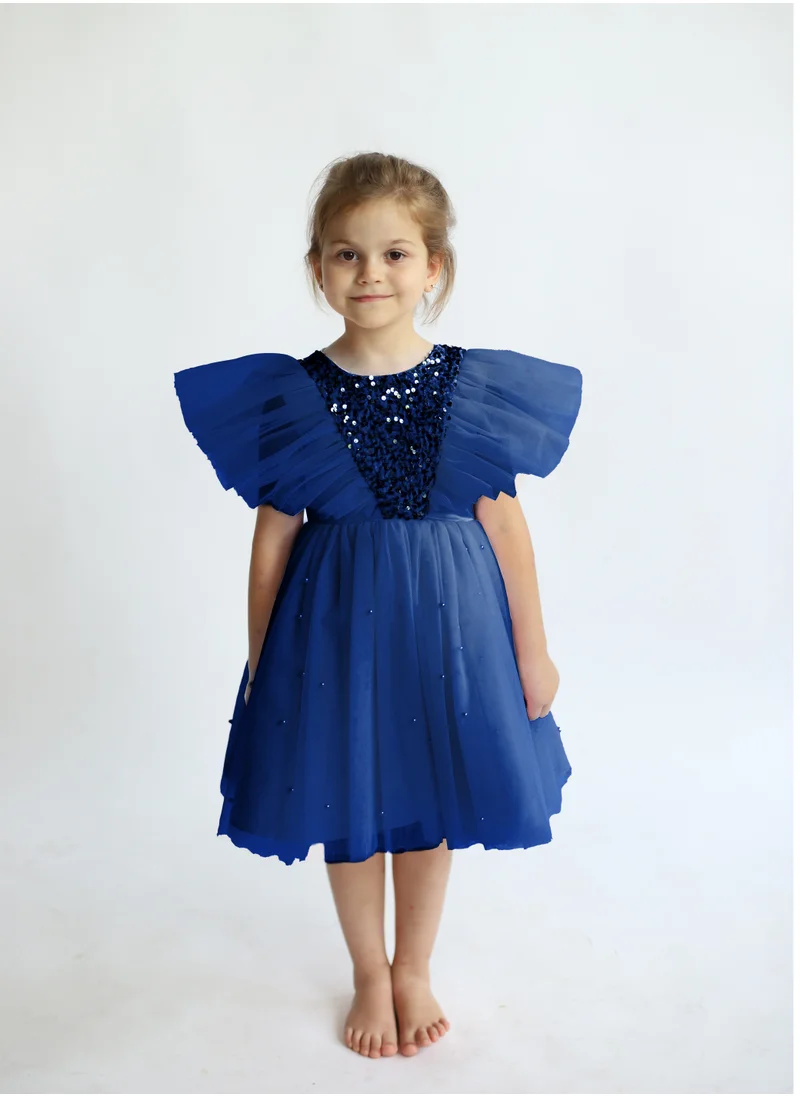 D'Daniela Butterfly Sequined Navy Blue Dress