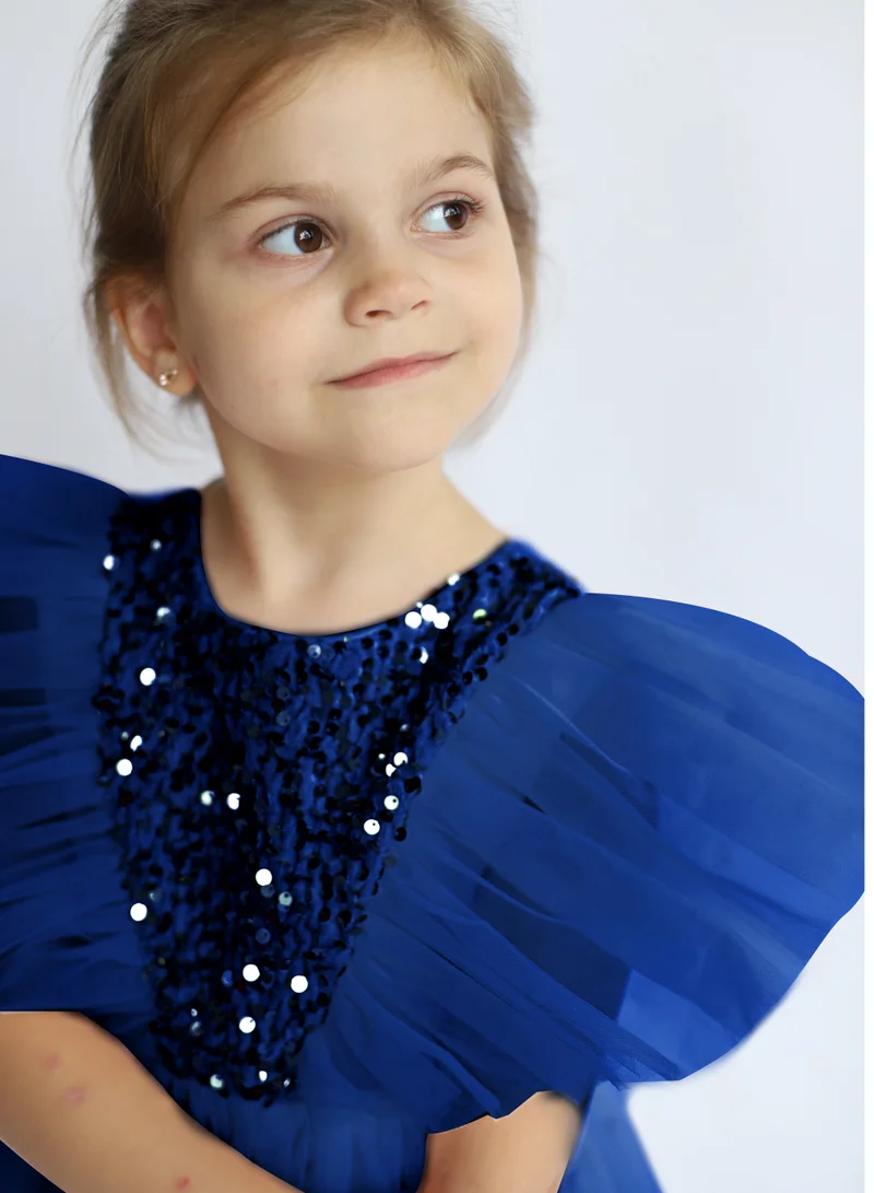 D'Daniela Sequin Bodice Tulle Dress