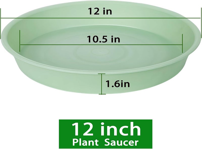Bleuhome 6 Pack of 12 inch Plant Saucer, Heavy Duty Plastic Plant Saucer 12" Round, Durable Plant Tray for Pots, Plant Saucers for Indoors, Plant Trays for Planter (12", Light Green) - Image 2