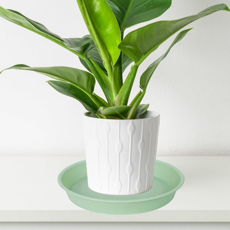 Bleuhome 6 Pack of 12 inch Plant Saucer, Heavy Duty Plastic Plant Saucer 12" Round, Durable Plant Tray for Pots, Plant Saucers for Indoors, Plant Trays for Planter (12", Light Green) - Image 5