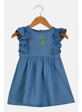 Toddlers Girl Embroidered Dress, Blue