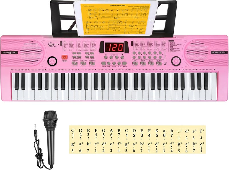 Hricane Piano Keyboard, 61 Keys Beginner Electronic Keyboard Portable Digital Music Keyboard, Early Education Music Instrument with Microphone & Music Sheet Stand - Image 4
