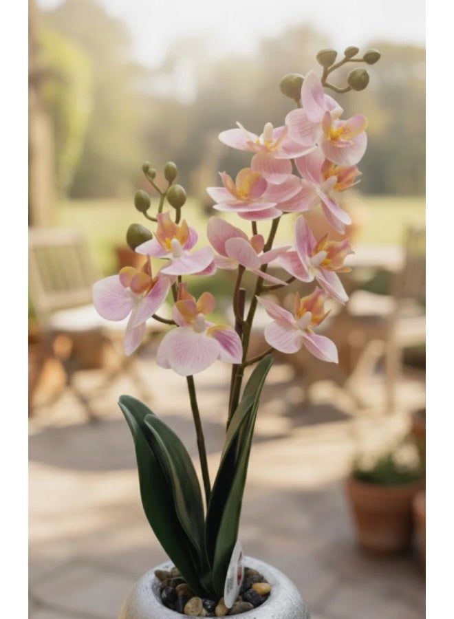 AKDC Next Rose Artificial Pink Orchid Flower - Delicate Petals in Silver Toned Pot, Perfect for Sophisticated Decor, 35 cm,"- Features polystyrene foam pink orchids with intricate details. - Image 1