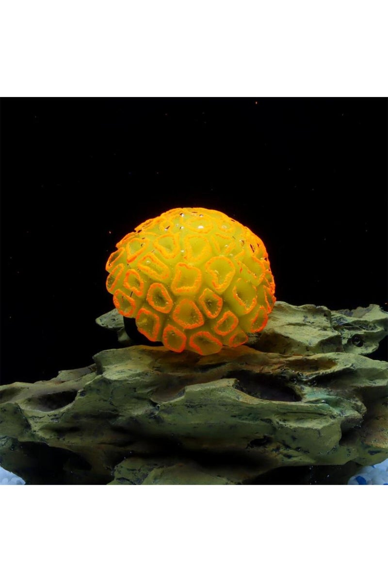 إيروريكس قطعة واحدة من المرجان الصناعي المتوهج الواقعي على شكل دماغ - مرجان صناعي متوهج نابض بالحياة