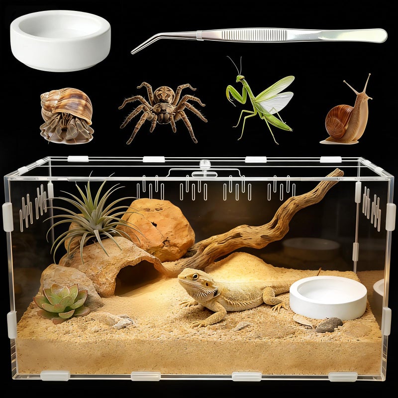 Adoture Acrylic Reptile Terrarium, Tarantula Enclosure with Magnetic Door, Easy-Clean Reptile Tank for Spider, Insect, Gecko, Mantis, Frog, Snail, Isopods(Tweezer and Bowl Included) - Image 1