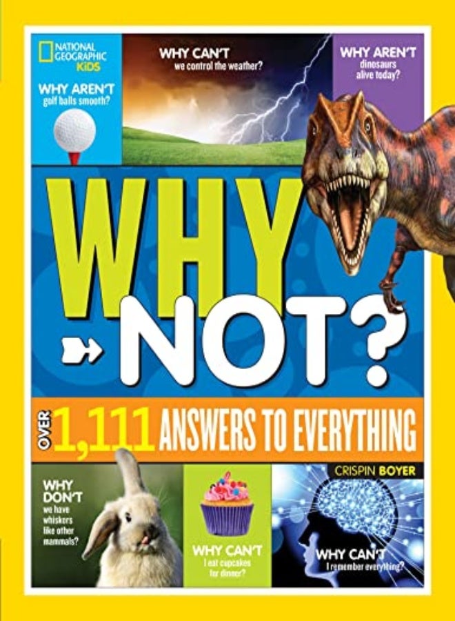 Ngk Why Not 1111 Answers
