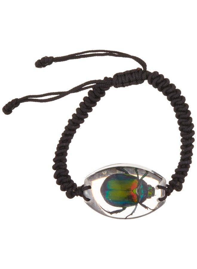 REALBUG Chafer Beetle Bracelet Clear 10 Inches - Image 1