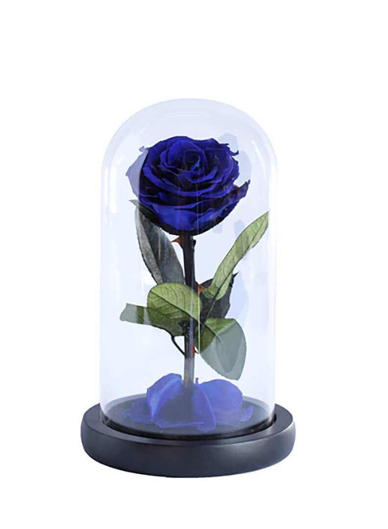 Si Bonne Preserved Forever Blue Rose in Luxury Glass Dome 12*19 - Eternal Flower Gift for Women's Day, Valentine's Day, Wedding Anniversary, and Birthday  - Image 1