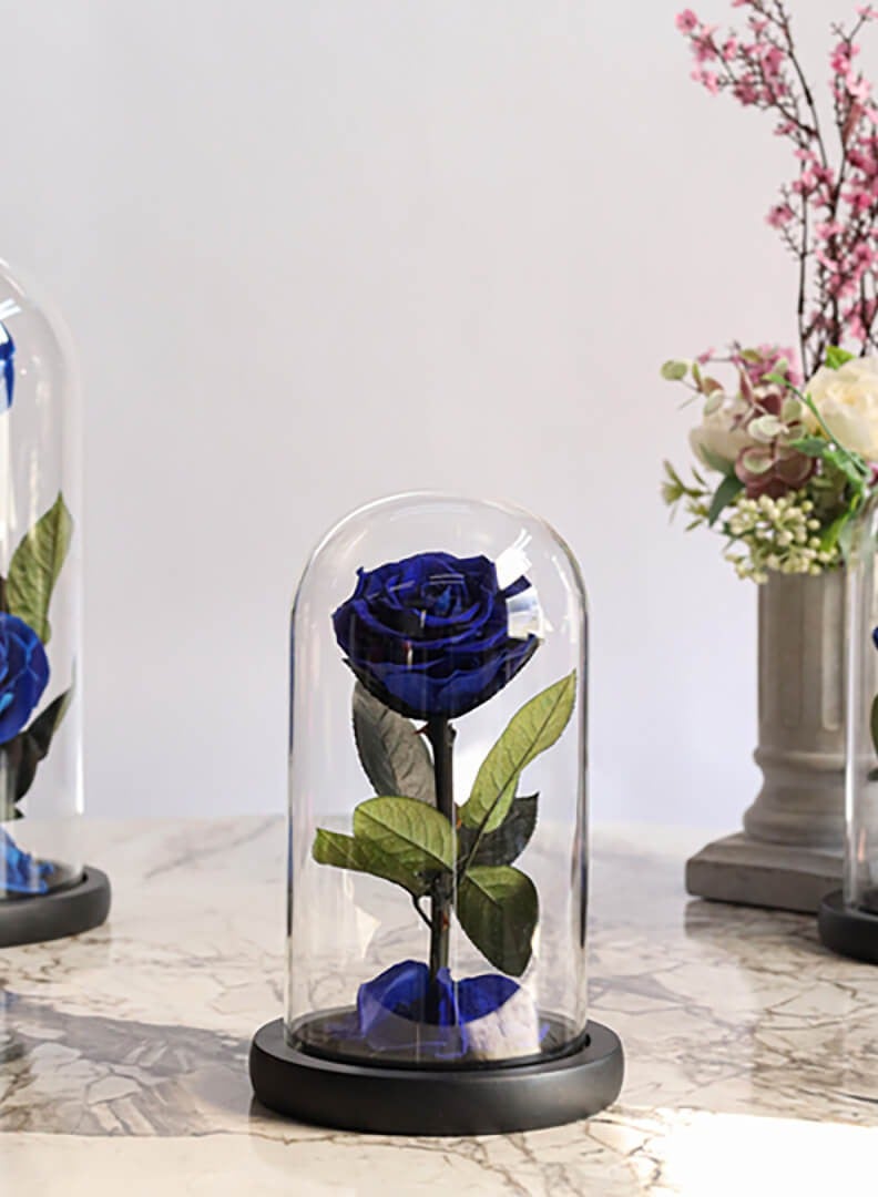 Si Bonne Preserved Forever Blue Rose in Luxury Glass Dome 12*19 - Eternal Flower Gift for Women's Day, Valentine's Day, Wedding Anniversary, and Birthday  - Image 2