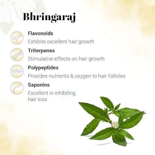 KEYA SETH AROMATHERAPY, DEVICE OF DROP KEYA SETH AROMATHERAPY Hair Grown Oil with Bhringraj for Hair Growth, Thicker, Darker & Shiny Hair with Methi & Amla for Men & Women Hair Oil 100mL - Image 4