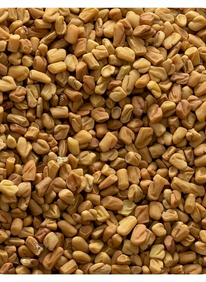 Whole Fenugreek Seed 16 oz (453 g) - pzsku/Z1BF40A17CF77F356CB91Z/45/_/1729515302/e6fd87b5-f5f9-4a0b-abca-098a3f8c589b