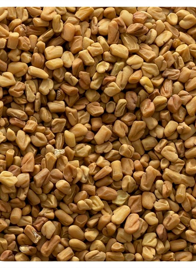 Whole Fenugreek Seed 16 oz (453 g)