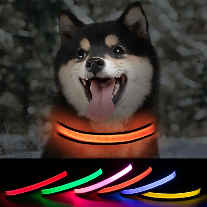 ROUWINNE Nylon Light Up Dog Collar for Dogs - Rechargeable LED Collar for Dogs at Night, Adjustable Waterproof Glow Collars (Orange, Pack of 1, S) - Image 1