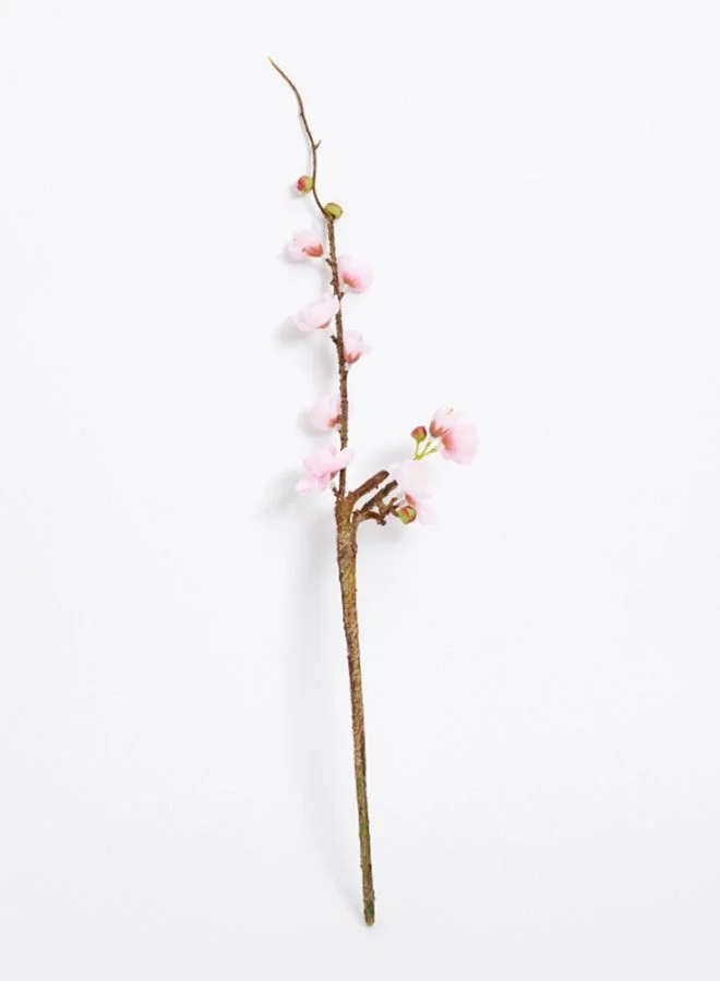 Home Box Aria Winter Sweet Flower Stem
