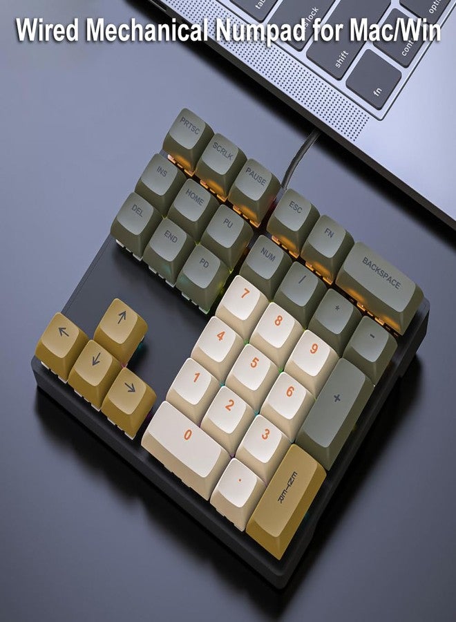 LINKEET Mechanical Numpad Rainbow Backlit Clicky Blue Switches Wired USB Number Pad 33-Key NKRO Numeric Keypad with XDA PBT Keycaps External Keyboard Num Pad for Laptop, Mac - Brown Grey - Image 2