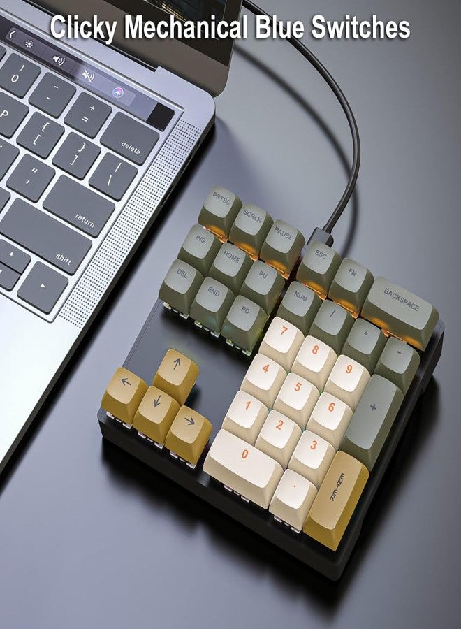 LINKEET Mechanical Numpad Rainbow Backlit Clicky Blue Switches Wired USB Number Pad 33-Key NKRO Numeric Keypad with XDA PBT Keycaps External Keyboard Num Pad for Laptop, Mac - Brown Grey - Image 3