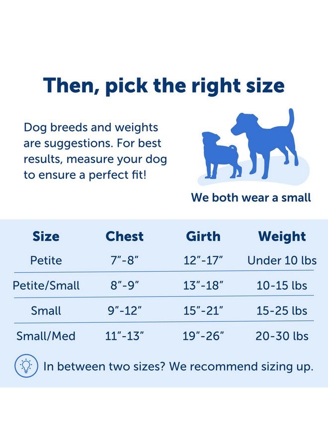 بيت سيف حزام PetSafe Easy Walk No-Pull Dog Harness - الحزام المثالي للمساعدة في التوقف عن السحب - سيطر على الموقف وعلّم سلوكيات أفضل في استخدام المقود - يساعد في منع الحيوانات الأليفة من السحب أثناء المشي، صغير/متوسط، أحمر/أسود - Image 5