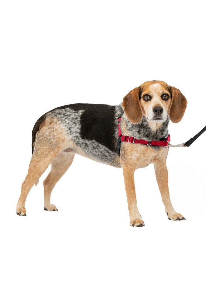 بيت سيف حزام PetSafe Easy Walk No-Pull Dog Harness - الحزام المثالي للمساعدة في التوقف عن السحب - سيطر على الموقف وعلّم سلوكيات أفضل في استخدام المقود - يساعد في منع الحيوانات الأليفة من السحب أثناء المشي، صغير/متوسط، أحمر/أسود - Image 1