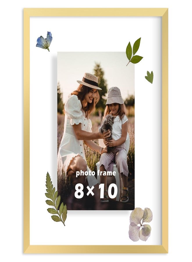 FrameWorks 8”x10” Deluxe Brass Gold Aluminum Contemporary Style Floating Picture Frame with Tempered Glass - Image 1
