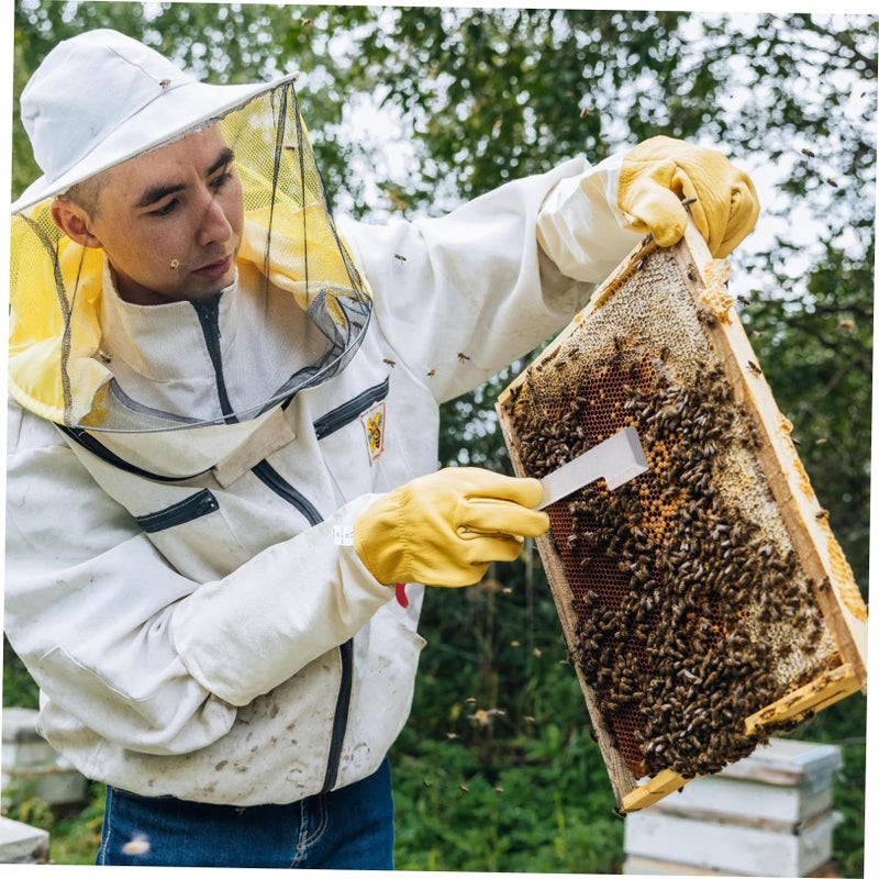 Stainless Steel Bee Pry Bar For Hive Separation And Wax Scraping Red Tool - Image 5