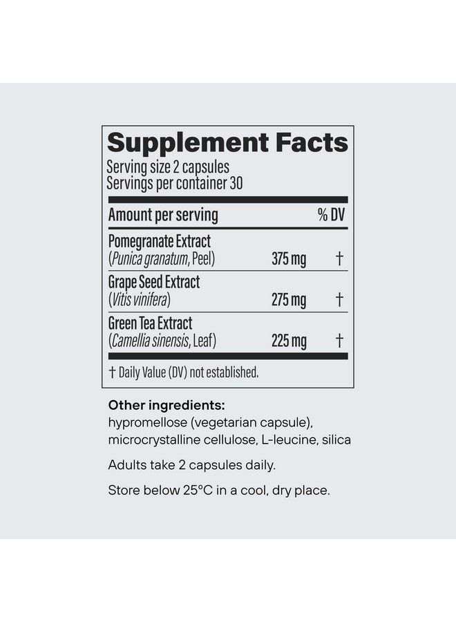 Pendulum Polyphenol Booster, Antioxidant from Superfoods, Beneficial Plant Compounds for Good Health, Helps Boost Akkermansia Muciniphila for Men & Women (60 Capsules, 1-Pack)
