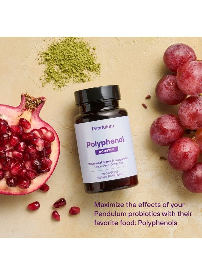 Pendulum Polyphenol Booster, Antioxidant from Superfoods, Beneficial Plant Compounds for Good Health, Helps Boost Akkermansia Muciniphila for Men & Women (60 Capsules, 1-Pack)