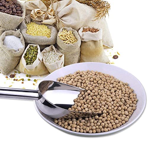 AVIARY 304 SS Pharma Scoops 250G | | High Grade Stainless Steel | NO Rust | Chemical Free l Pharmaceutiacals Usage - Image 3