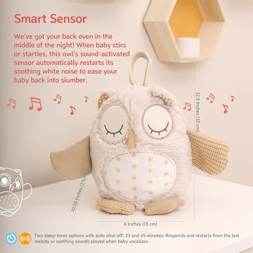 Cloud b Sound Machine with White Noise Soothing Sounds | Cuddly Stuffed Animal | Adjustable Settings and Auto-Shutoff | Nighty Night Owl™ Smart Sensor - Image 4