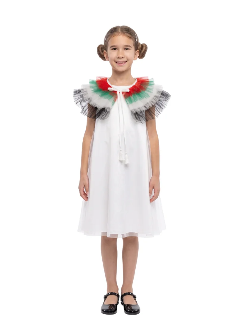 دىدانيالا UAE Flag and EID Dress