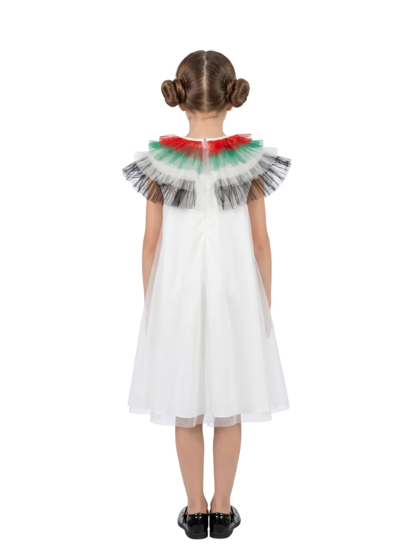 دىدانيالا UAE Flag and EID Dress