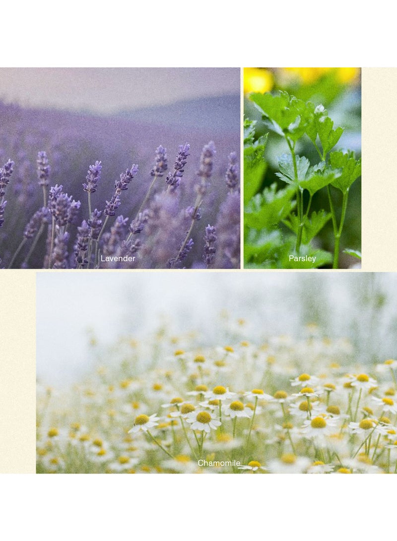 ISCENT | Grasslands – Fragrance Oil Refill for Ensō Mini Diffuser 10ml | Lavender, Chamomile & Parsley for Home & Car | Herbal Freshness with Floral Calm & Green Earthiness - Image 2