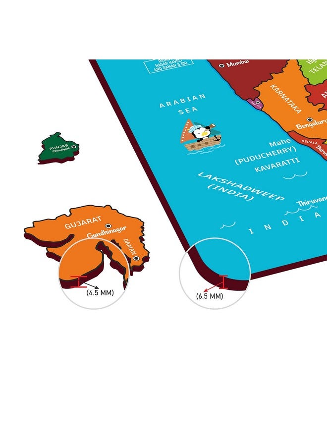Webby Wooden Educational India Political Map States Capital Learning, Board Puzzle for 4, 5, 6, 7, 8 Year Old Kids - Image 5